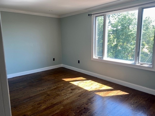 88 Laclede St - Photo 7