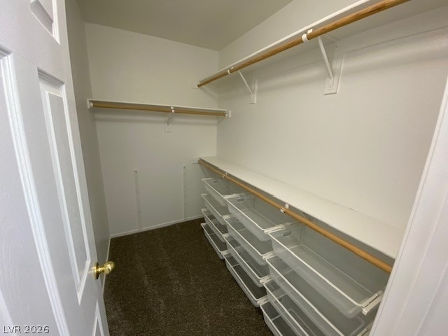 8065 Caspian Moon Drive - Photo 20