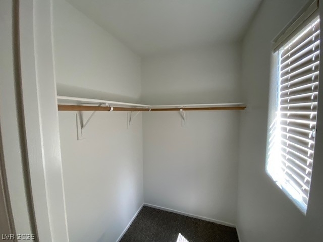 8065 Caspian Moon Drive - Photo 14