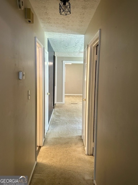 10178 Top Tree Court - Photo 12