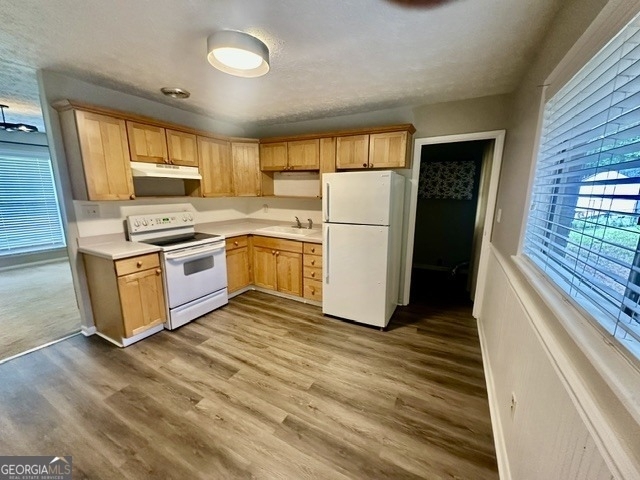 10178 Top Tree Court - Photo 2
