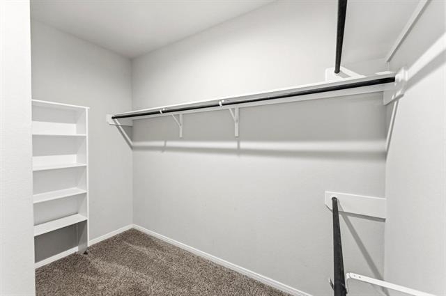 12173 Pearl Bay Court - Photo 22
