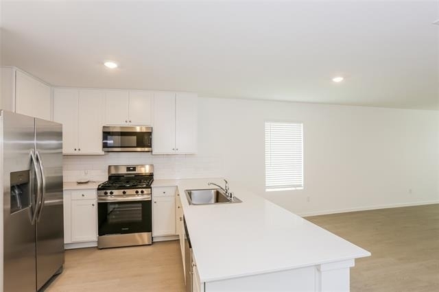 1309 Buckaroo Boulevard - Photo 1