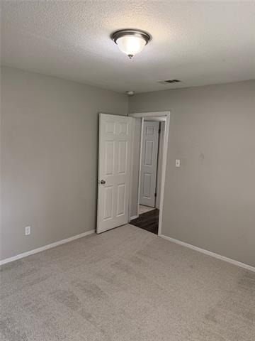 317 Apache Trail - Photo 11