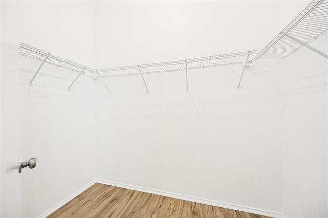 202 Trenton Drive - Photo 22