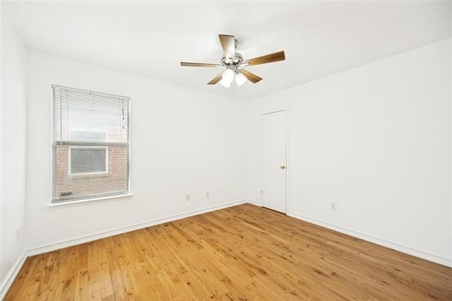 202 Trenton Drive - Photo 15