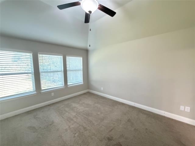 7924 Buttonwood Drive - Photo 15