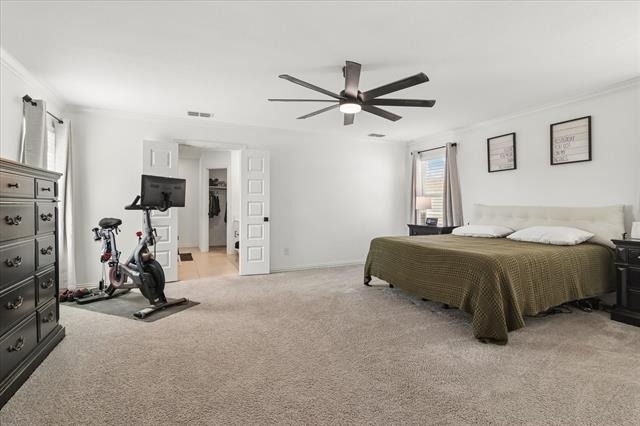 10032 Travis Drive - Photo 11