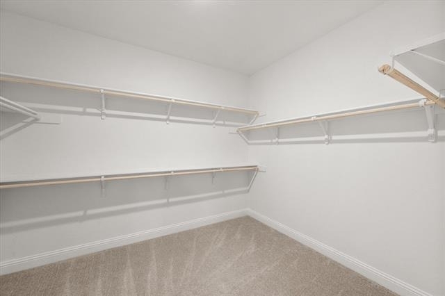 4434 Verbena Street - Photo 30