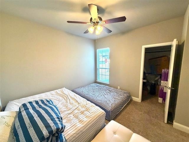 402 Coyote Creek Drive - Photo 10
