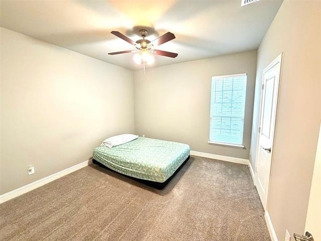 402 Coyote Creek Drive - Photo 9