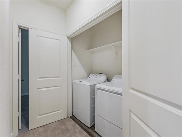 4510 Wood Fern Road - Photo 18