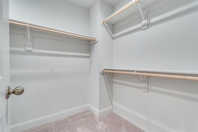 6805 Andrew Drive - Photo 12