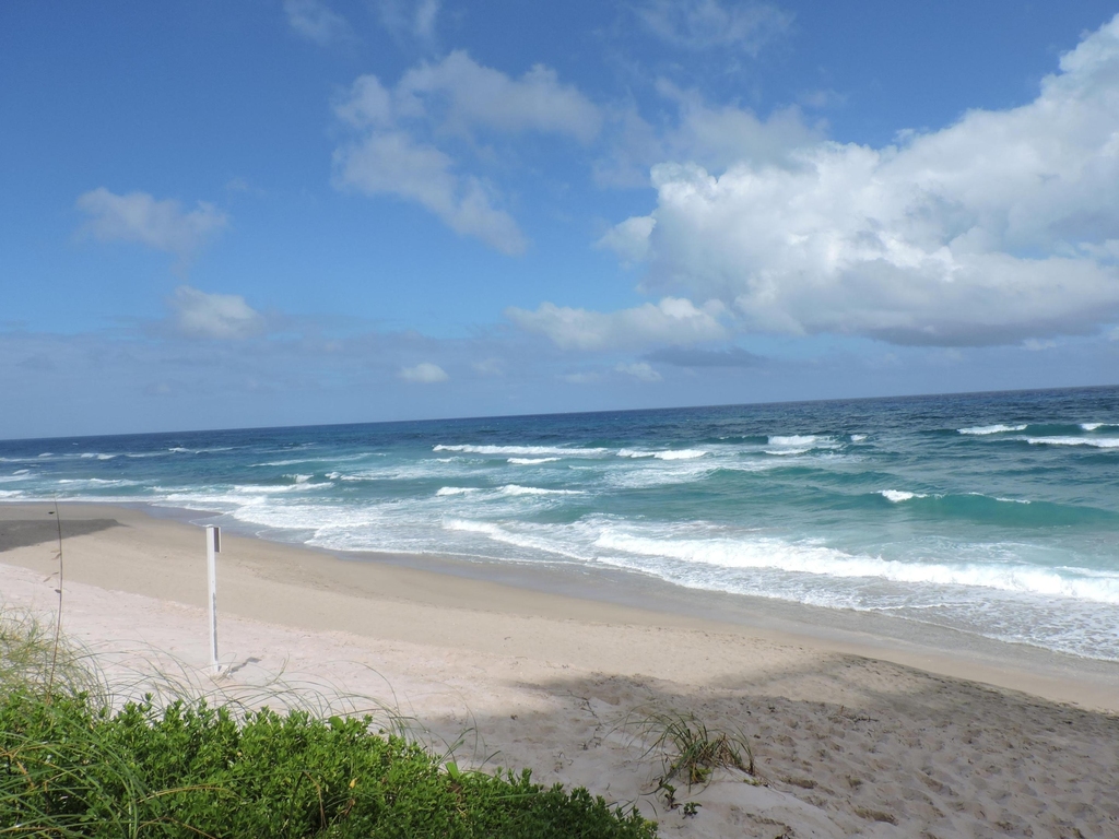 5380 N Ocean Drive - Photo 1