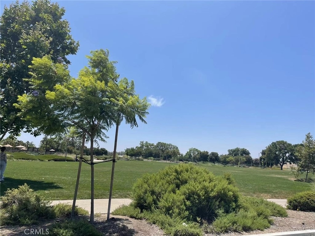 159 Fieldwood - Photo 13