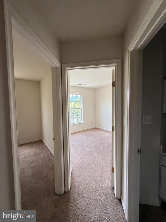 103 Cannon Court - Photo 5