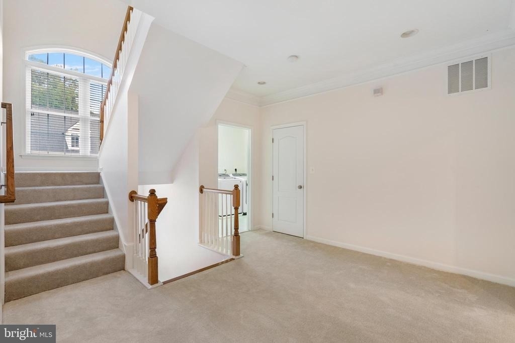 8880 Olive Mae Circle - Photo 17