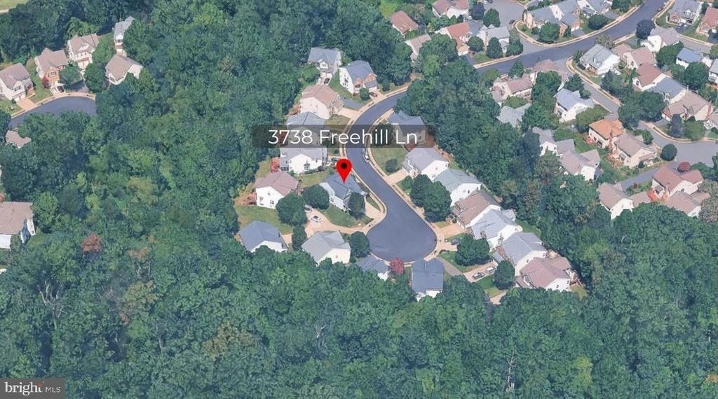 3738 Freehill Lane - Photo 1