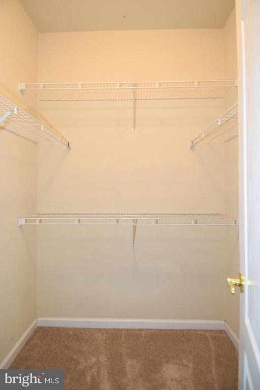 7810 Locust Leaf Lane - Photo 33