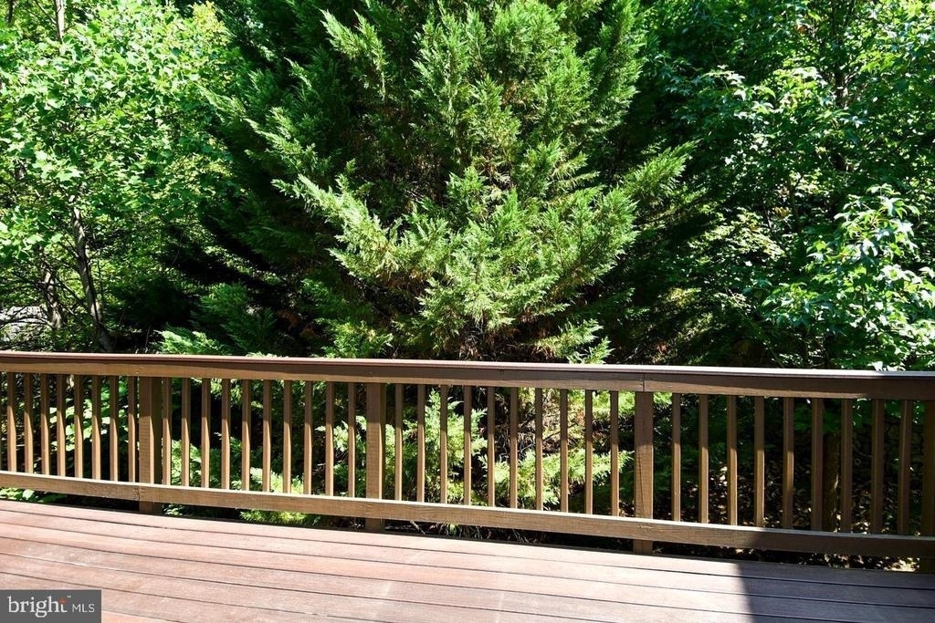 7810 Locust Leaf Lane - Photo 40