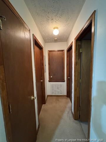162 Eulon Loop - Photo 9