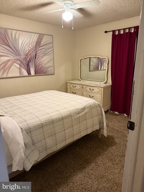 3 Lauffer Lane - Photo 8
