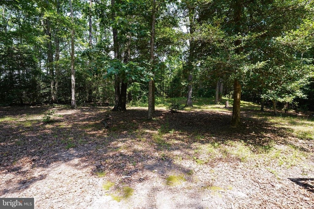 935 Queen Avenue - Photo 4