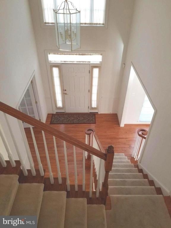 4415 Medallion Drive - Photo 3