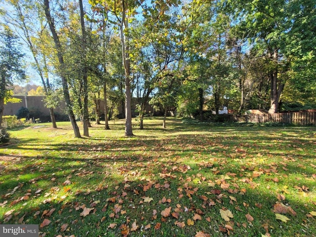 11113 Maiden Drive - Photo 6
