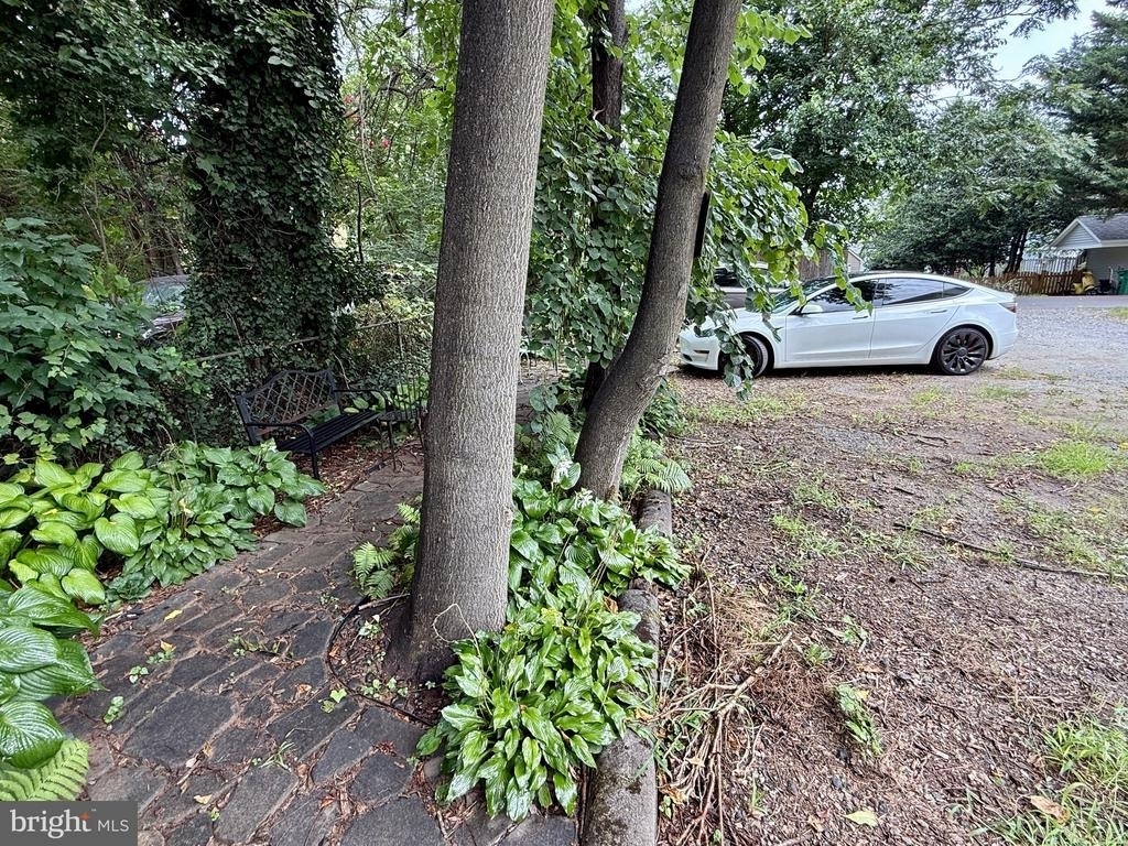110 Annapolis Street - Photo 24