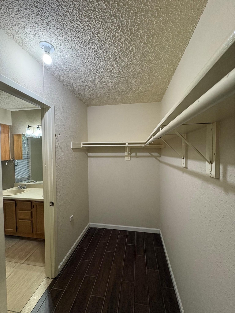 2902 Sabinal Trl - Photo 24