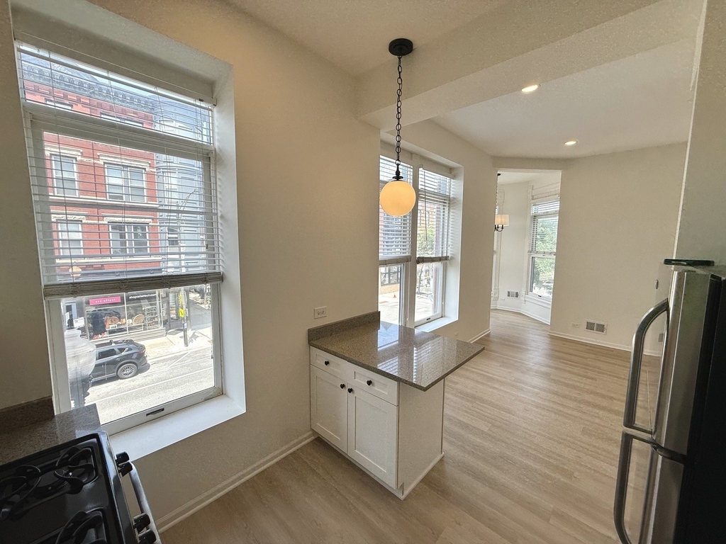 935 W Armitage Avenue - Photo 7