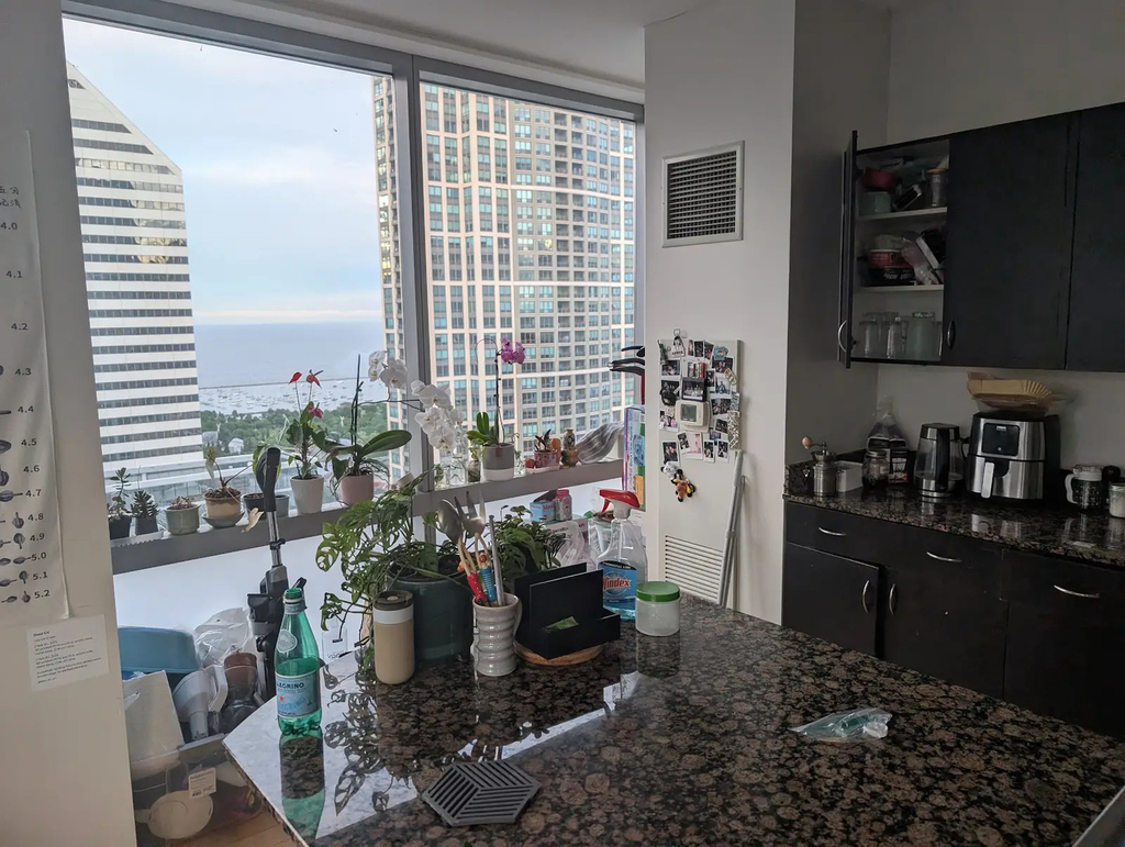 8 E Randolph Street - Photo 12