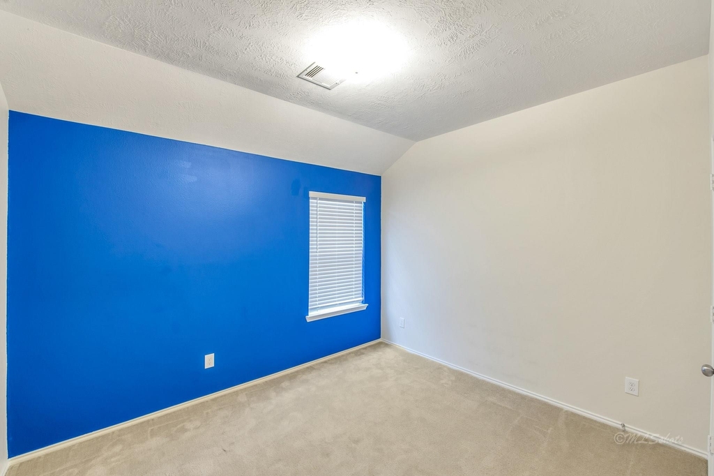 20103 Ray Falls Drive - Photo 22