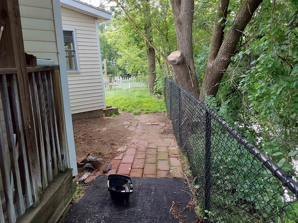 151 Buck - Photo 10