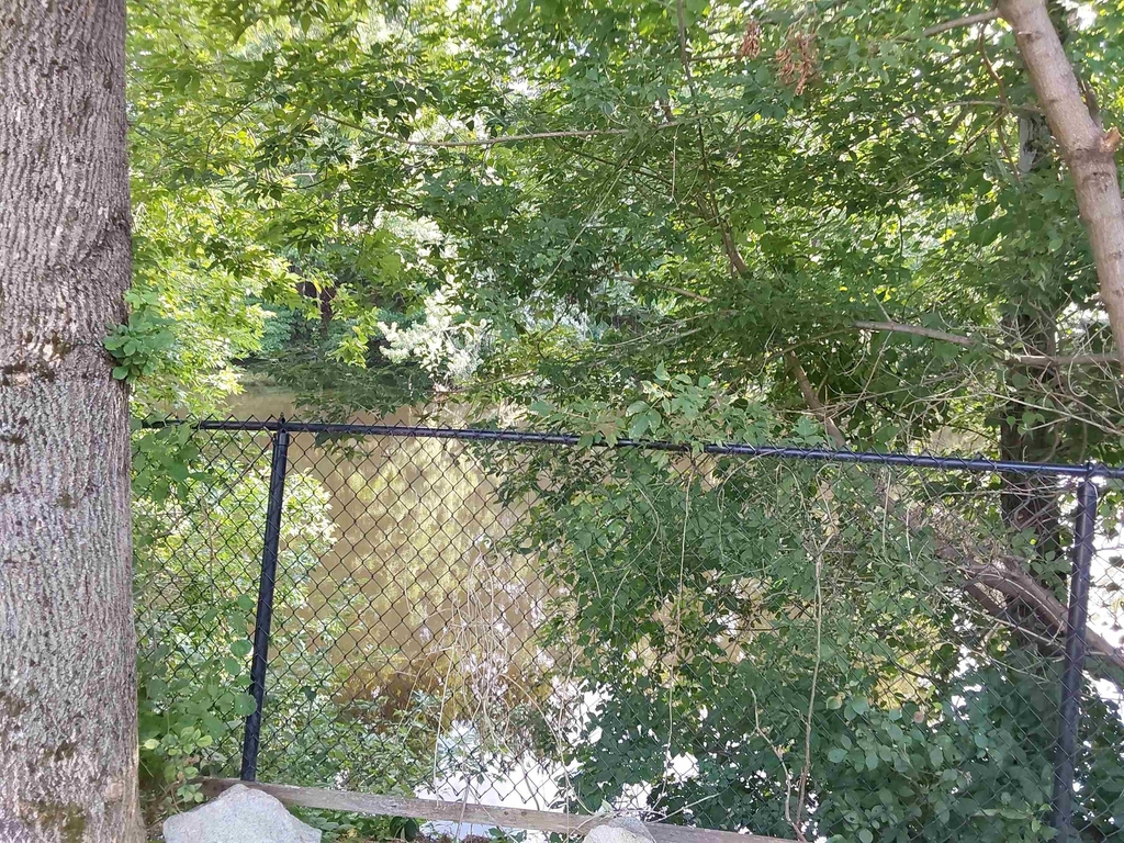 151 Buck - Photo 21