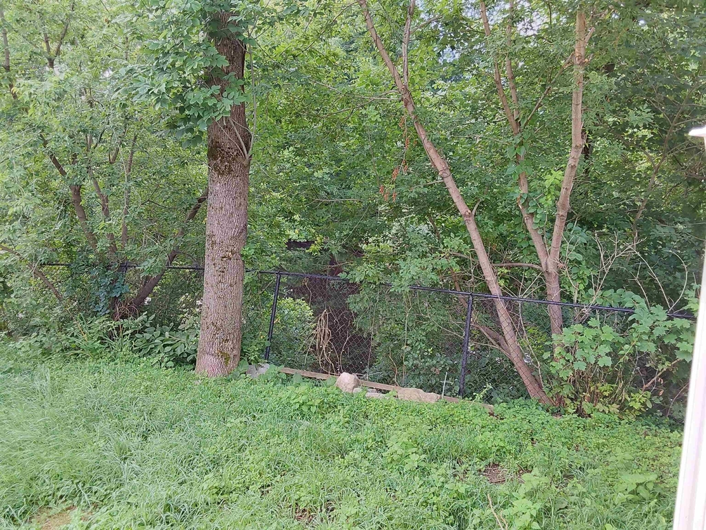 151 Buck - Photo 7