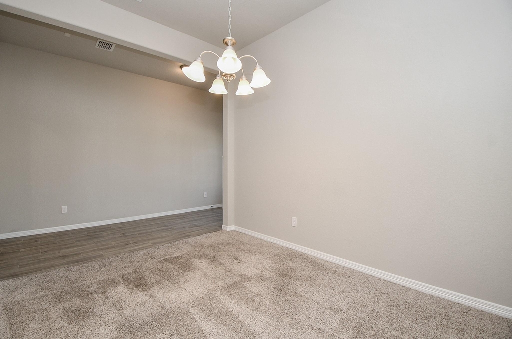 18331 Pedernales Springs Drive - Photo 13