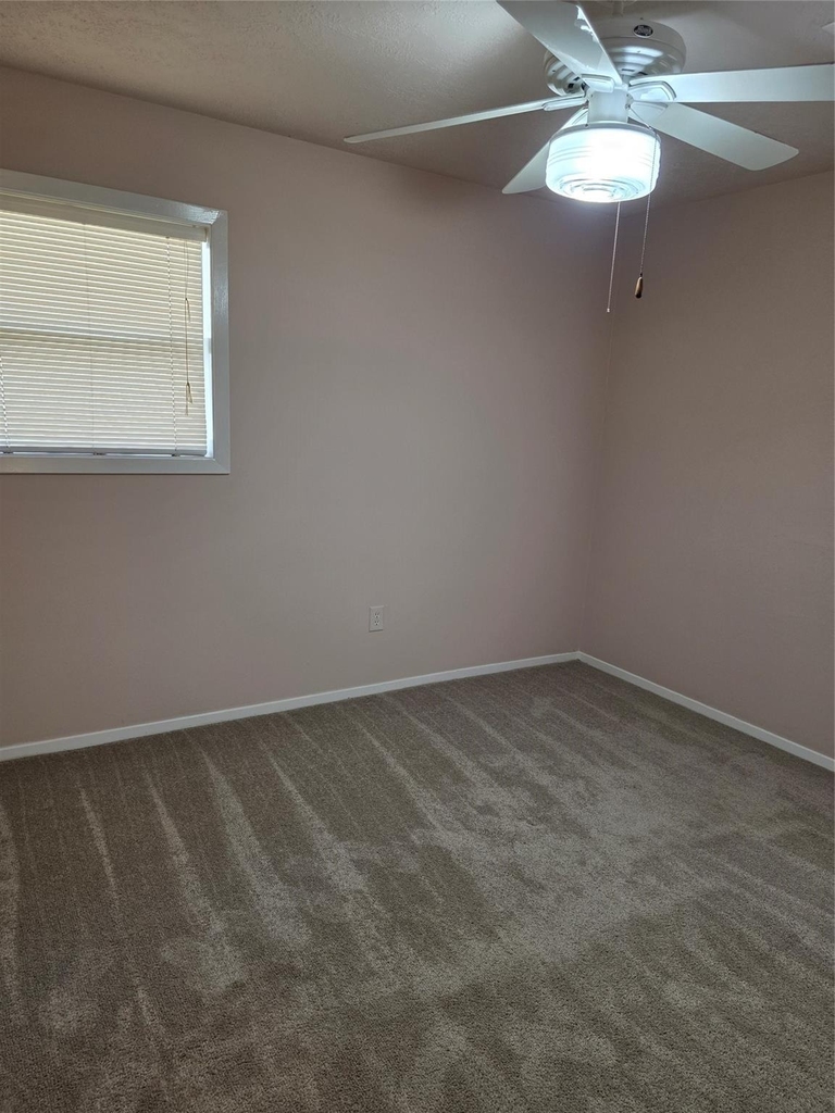 4218 Ember Lane - Photo 3
