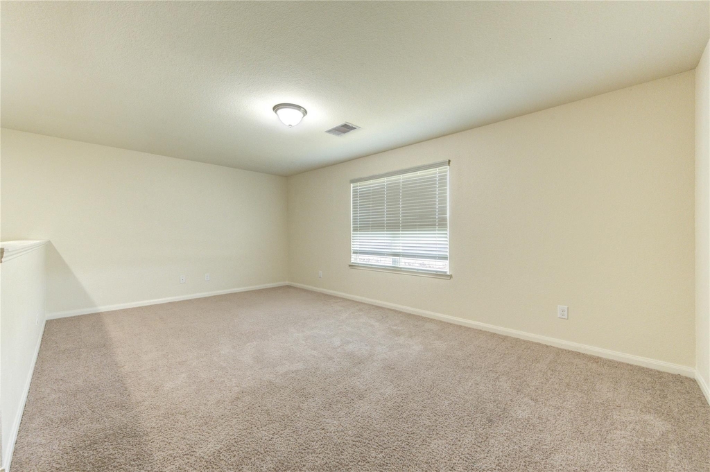 22534 Cloverland Field Drive - Photo 21