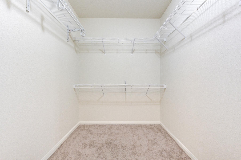 22534 Cloverland Field Drive - Photo 19