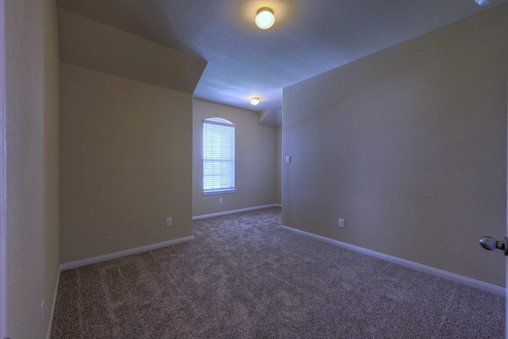 17131 Devon Dogwood Trail - Photo 10