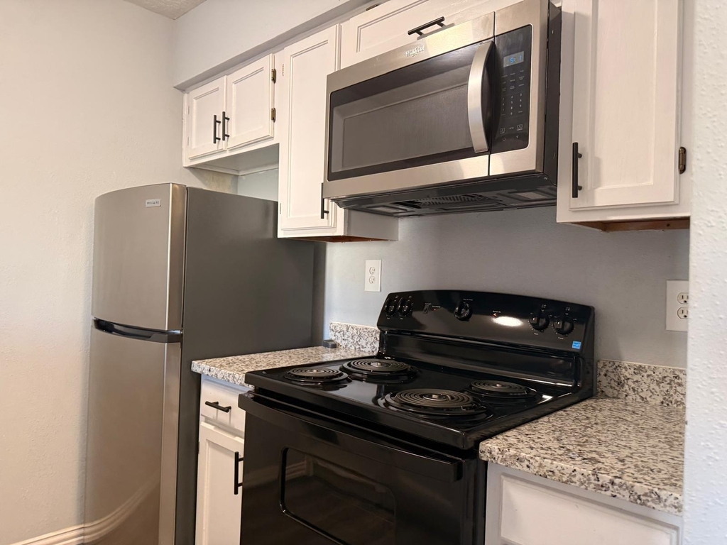 10555 Turtlewood Court - Photo 3
