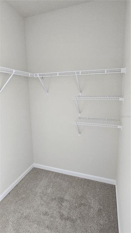 347 Biltmore Boulevard - Photo 9