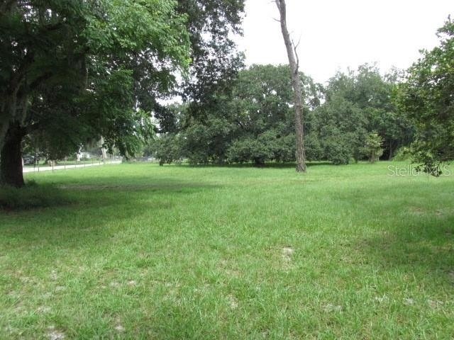 5500 Lake Lizzie Drive - Photo 13