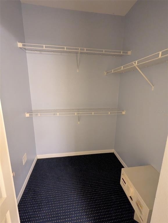 3003 Limbo Lane - Photo 13