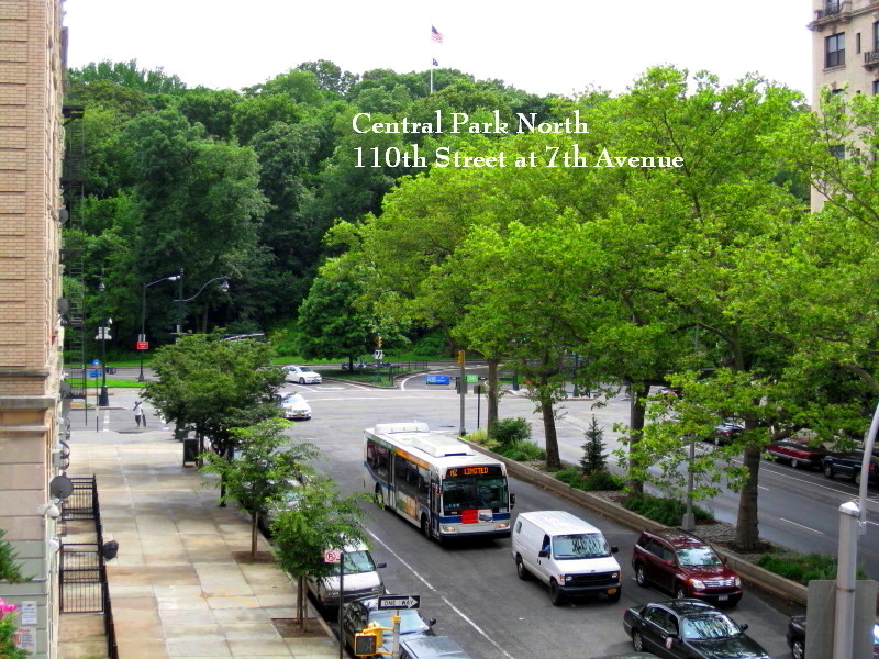 218 West 113th Street - Photo 5