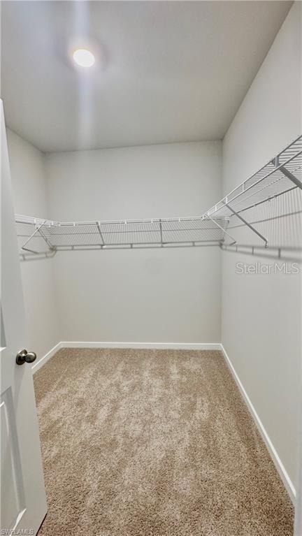 17710 Shade Tree Loop - Photo 13