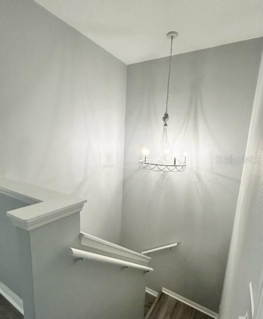 6218 Flagfish Court - Photo 13
