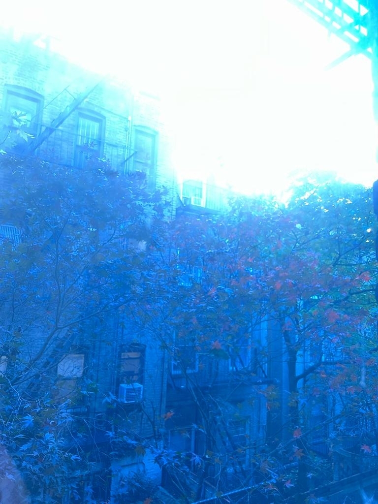 East 84th Street - Photo 11